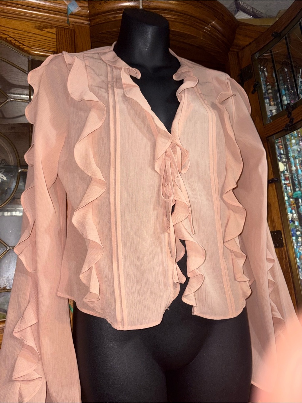 Maison d'Amélie Sheer Ruffled Tie-Front Blouse